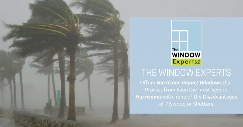 florida window experts postcard