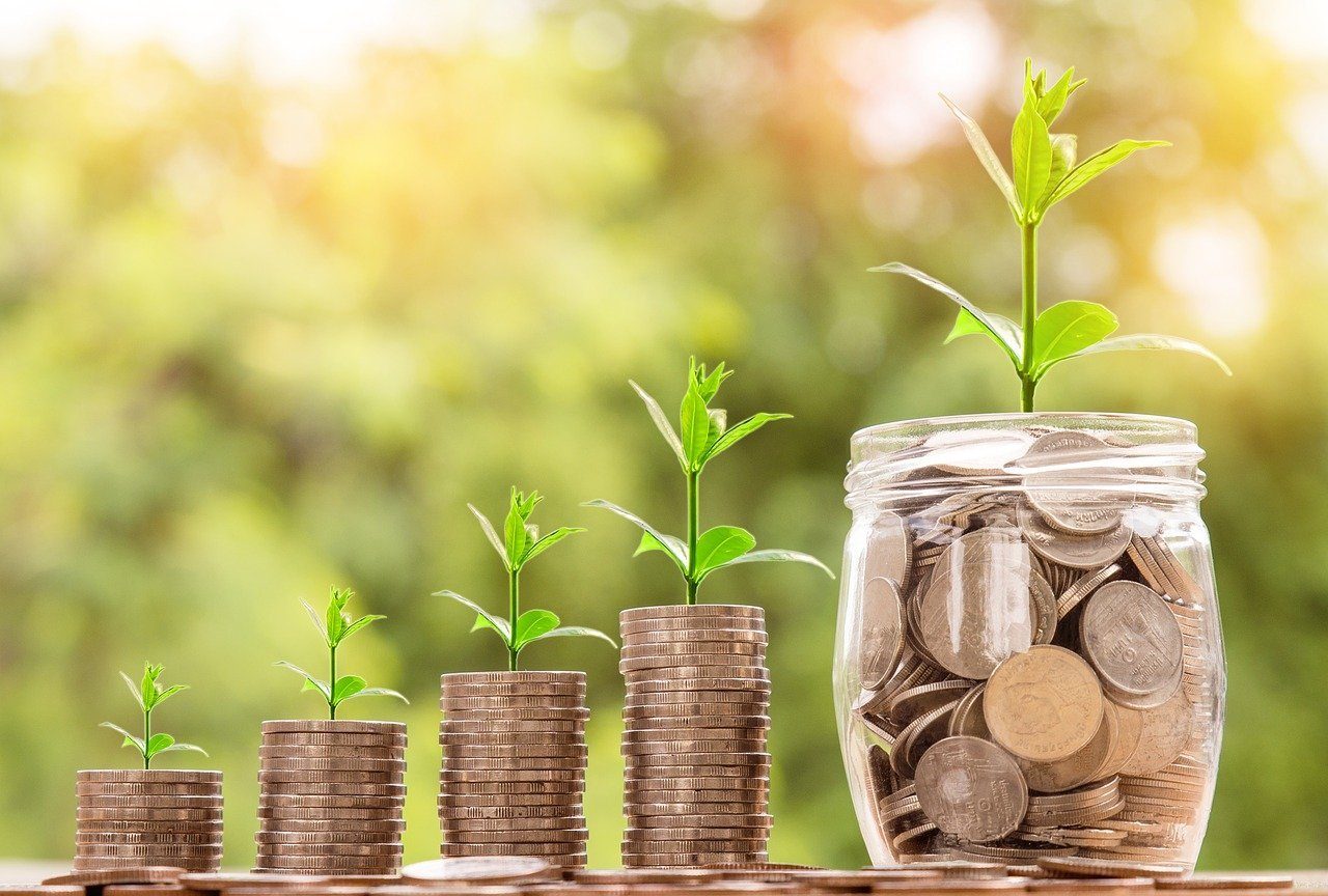 Stacks of coins next to jack of coins with a plant growing out - reduce home insurance costs with impact windows concept image