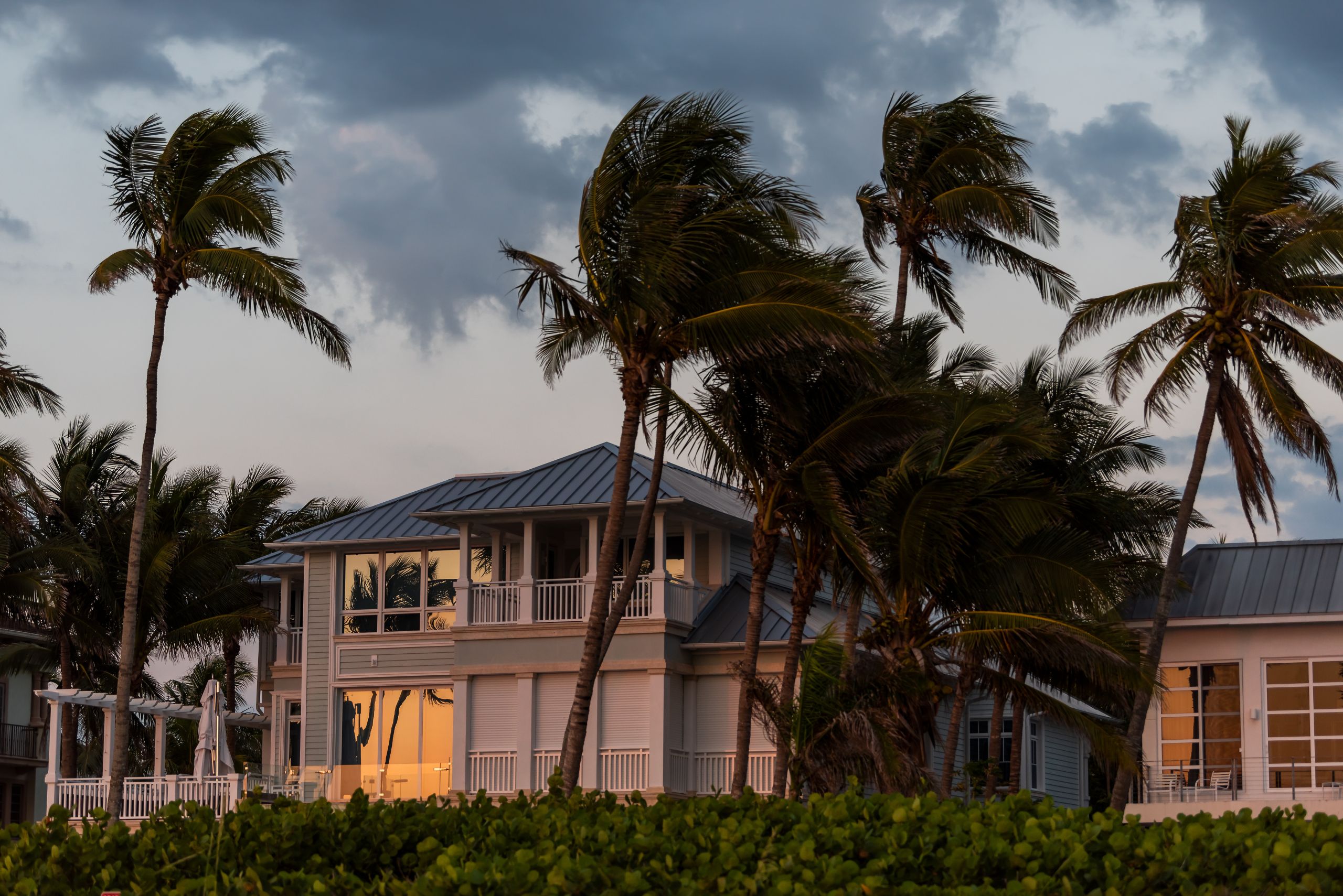 tropical home with palm trees swaying in storm - hurricane windows